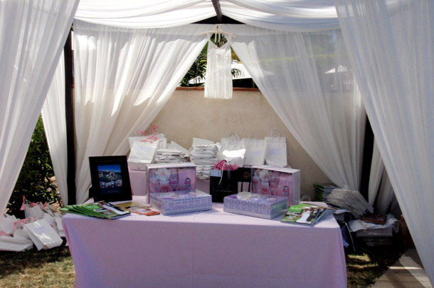 Santa Barabara Wedding Couture Raffle