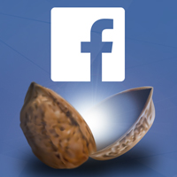 Advanced Facebook Advertising in a Nutshell