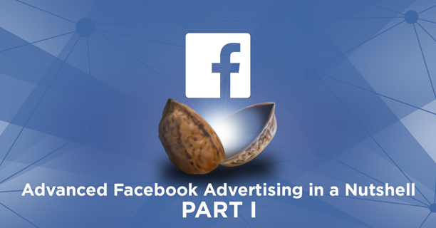 Advanced Facebook Advertising in a Nutshell